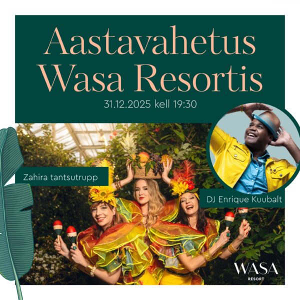 Aastavahetuse pidu - täiskasvanu